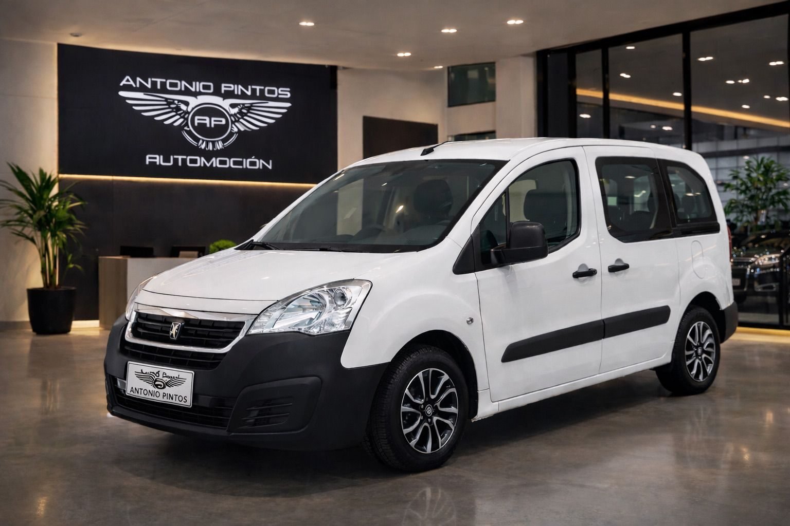 PEUGEOT PARTNER TEPEE 1.6 HDI 100CV