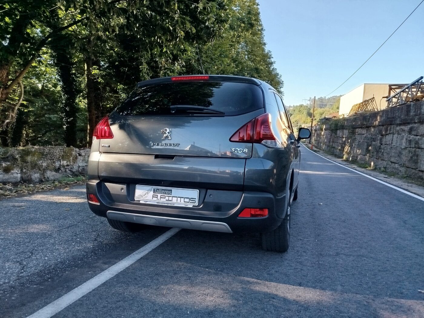 PEUGEOT 3008 1.6 hdi 120cv