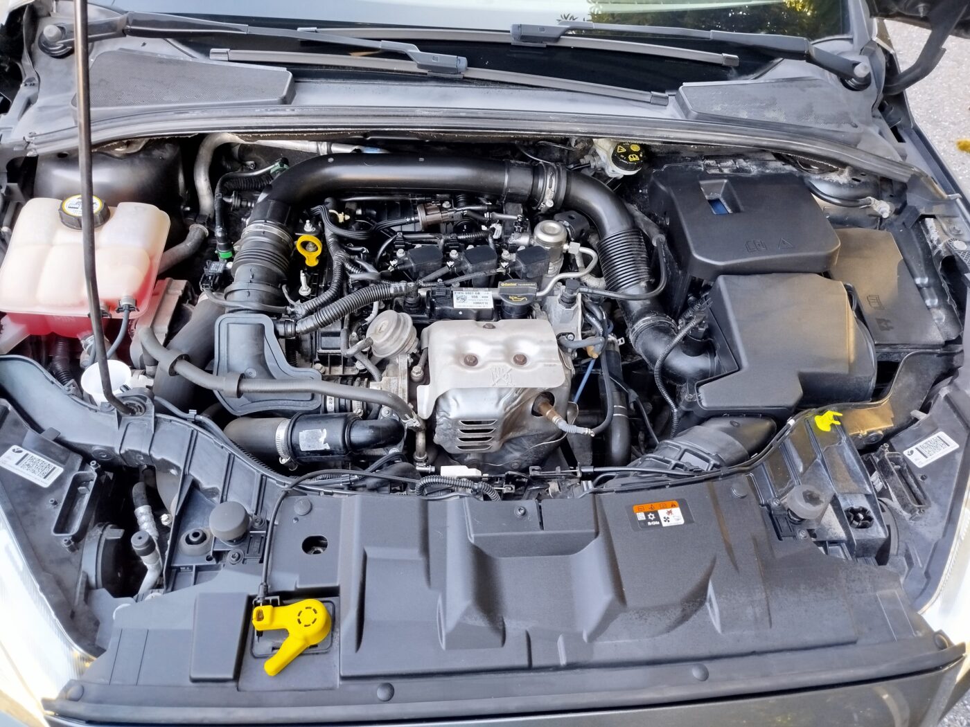 FORD FOCUS 1.0 