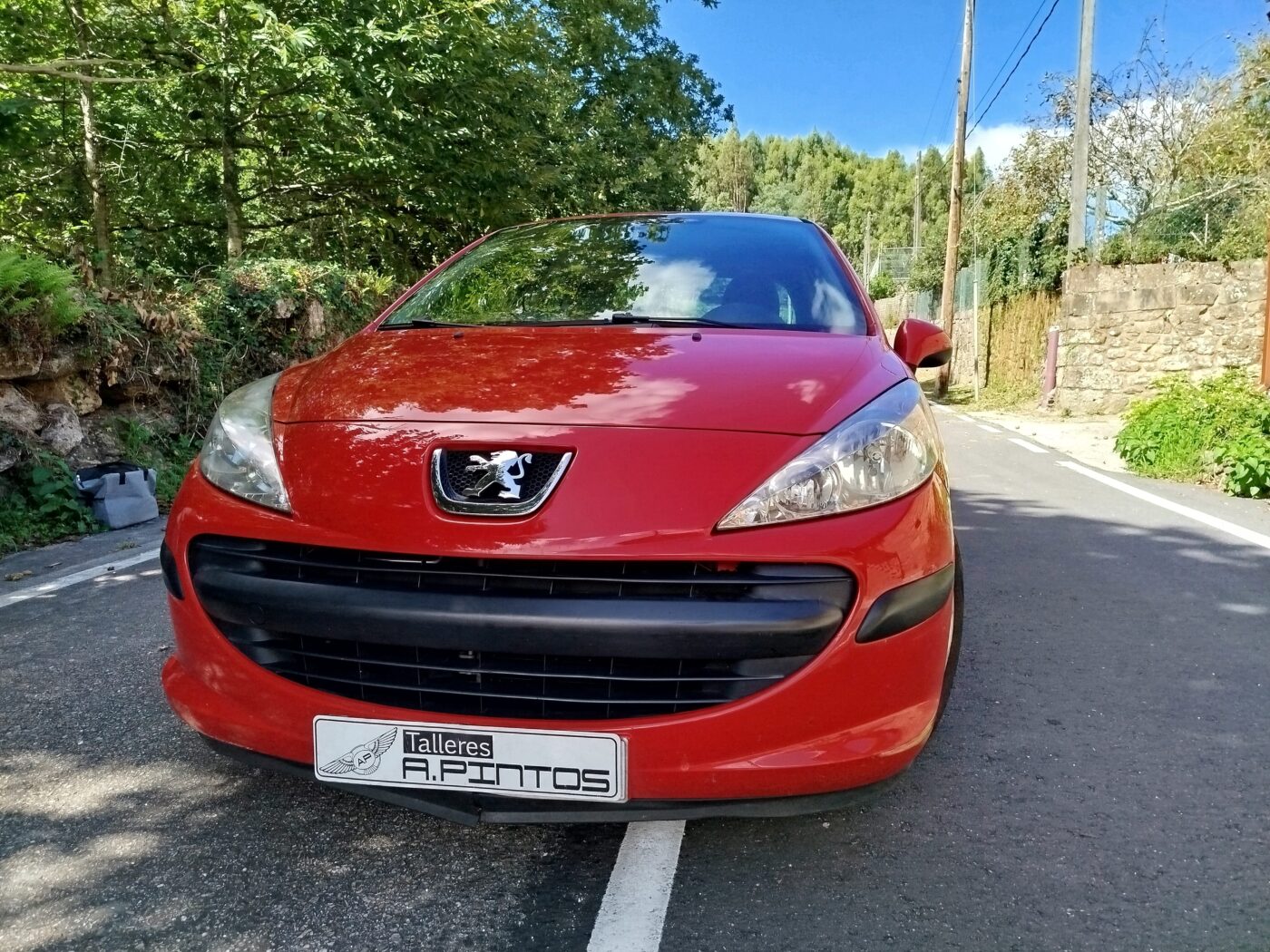 PEUGEOT 207 1.4 hdi 70cv