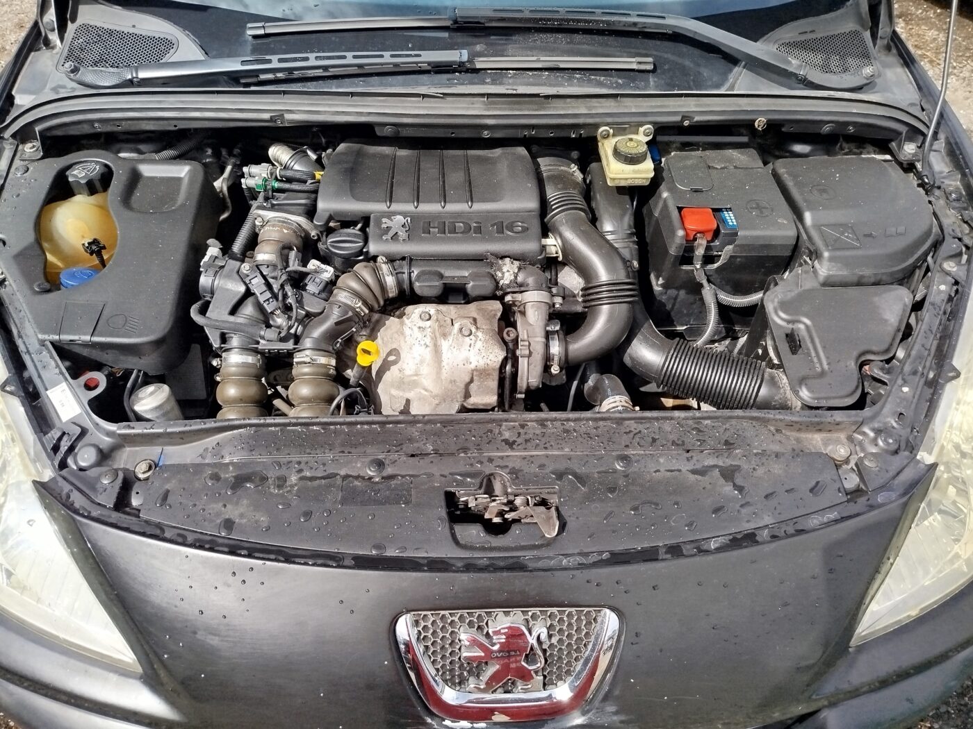 PEUGEOT 307 1.6 hdi 110cv