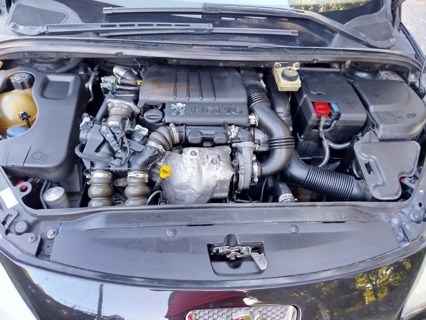 PEUGEOT 307 1.6 hdi 110 cv