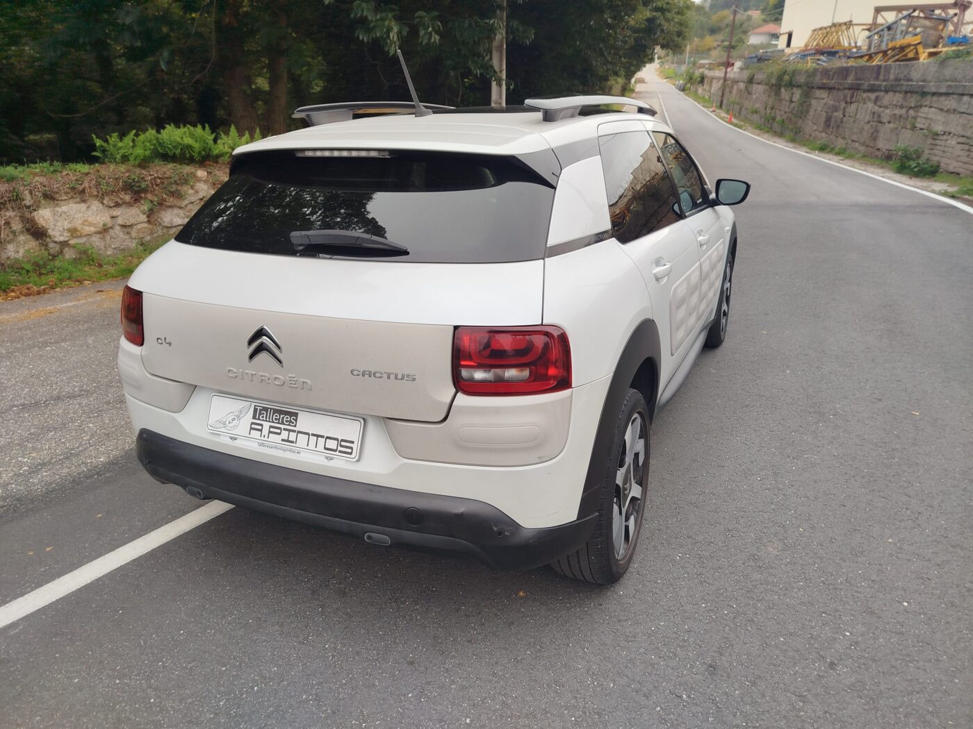 CITROEN c4 cactus 1.6 hdi 100cv